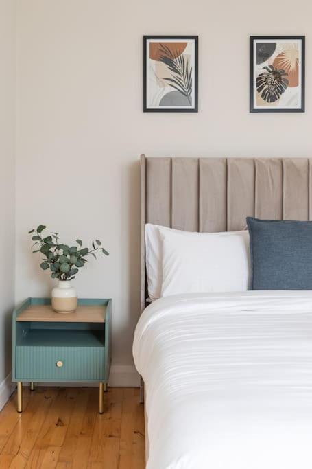 Modern Penthouse Apartment 2 Bed, 2 Bath Sleeps 6 City Centre Belfast Kültér fotó